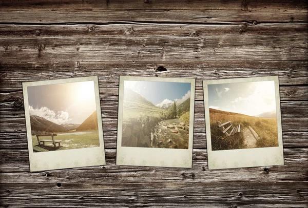 An polaroid fotoğraf 