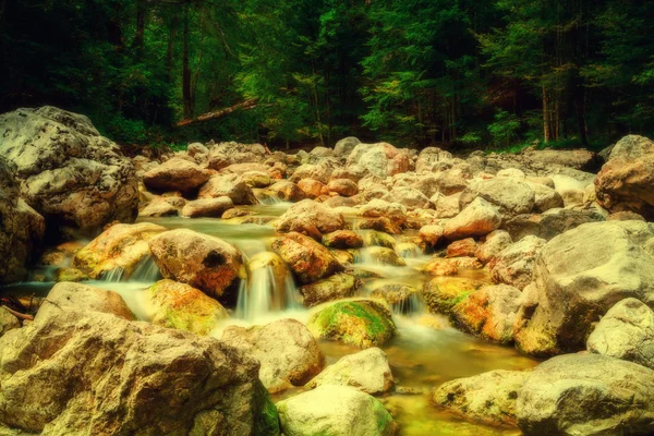 山の中を流れ — ストック写真