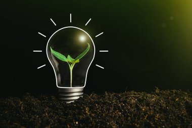 Yerde içinde bitki bulunan bir ampulün görüntüsünü kavra,