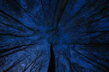 Gece gökyüzünün arka planında uçan gotik bir Noel Baba 'nın silüeti. Bu görüntünün elementleri NASA tarafından desteklenmektedir