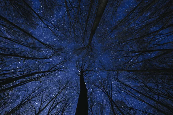 夜空を背景に空を飛ぶゴス サンタ クラスのシルエット Nasaによって提供されたこの画像の要素 — ストック写真