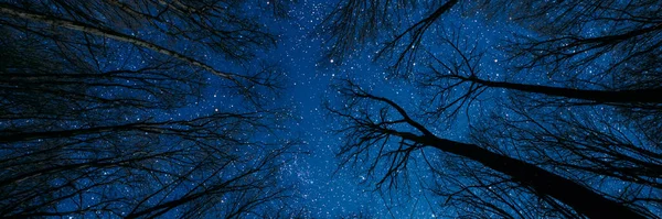 stock image silhouette of a flying goth santa claus against the background of the night sky. 