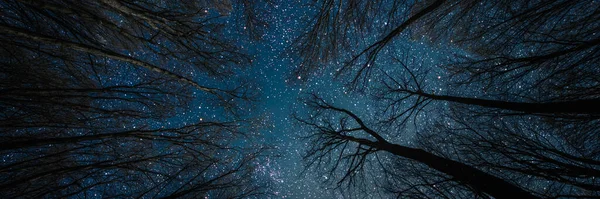 Silhouette Gothique Volant Père Noël Claus Sur Fond Ciel Nocturne — Photo