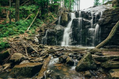 Reklamınız için ön planda bir ağaç olan güzel şelale.