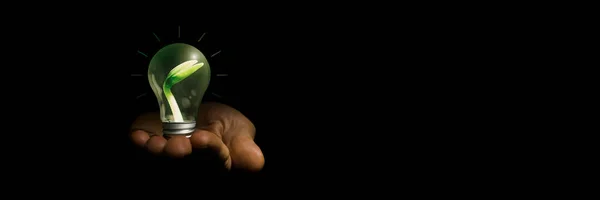 Konzeptbild Einer Glühbirne Der Hand Mit Einer Pflanze Inneren — Stockfoto