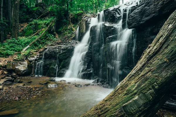 Schöner Wasserfall Mit Einem Baum Vordergrund Für Ihre Werbung — Stockfoto