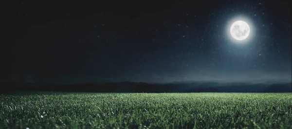 Grüne Wiese Auf Dem Hintergrund Des Nachthimmels Elemente Dieses Von — Stockfoto