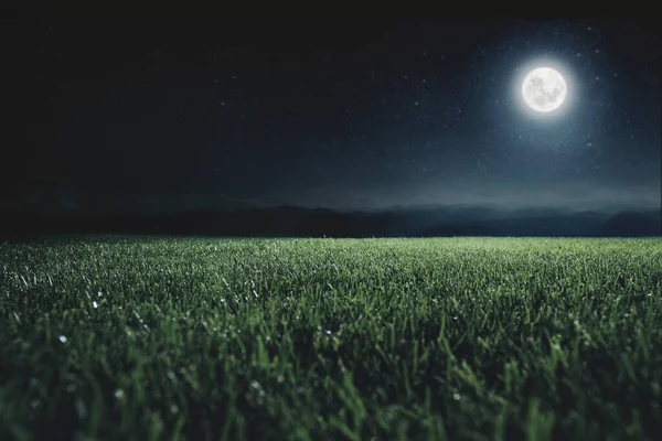 Grüne Wiese Auf Dem Hintergrund Des Nachthimmels Elemente Dieses Von — Stockfoto