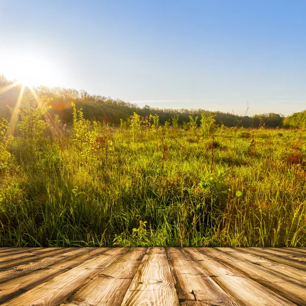 Holz strukturierte Hintergründe — Stockfoto