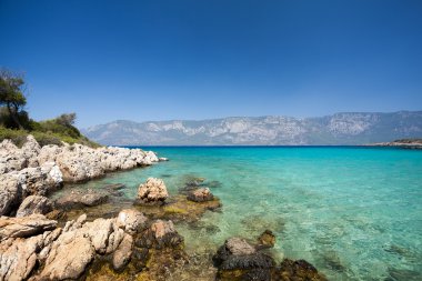 Dağ Manzaralı deniz taşları