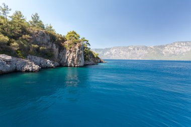 Dağ Manzaralı deniz taşları