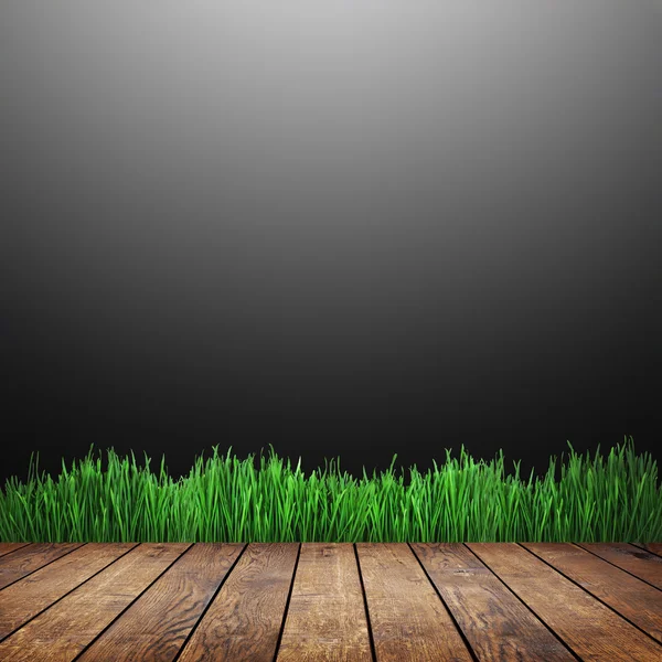 Green grass against gray background — Stock Photo, Image