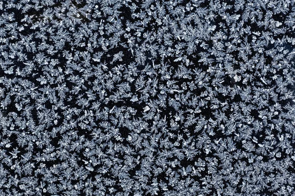 Schneeflocken auf schwarzem Hintergrund — Stockfoto