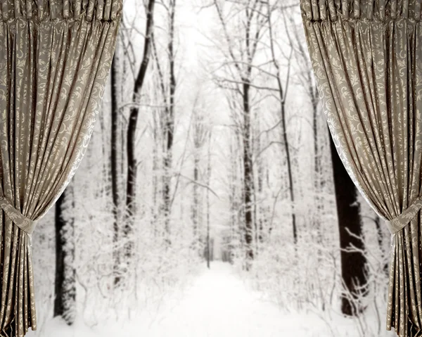 Curtains on the winter forest background — Stock Photo, Image