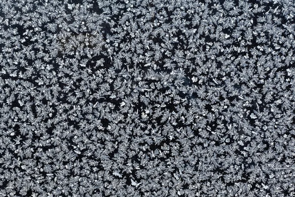 Flocos de neve sobre fundo preto — Fotografia de Stock