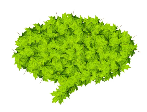 Leaves — Stock Photo, Image