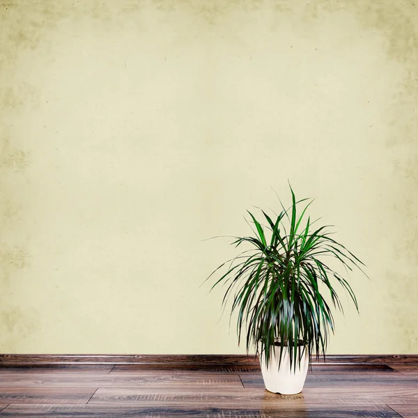 Mooie bloempot op muur achtergrond — Stockfoto