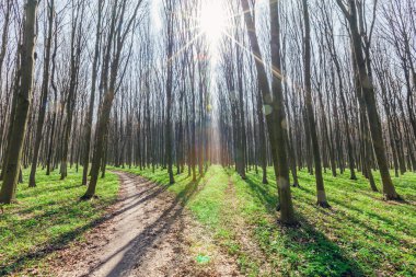 yıldızlı gökyüzü denizde yansıyan