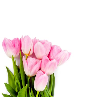 yıldızlı gökyüzü denizde yansıyan