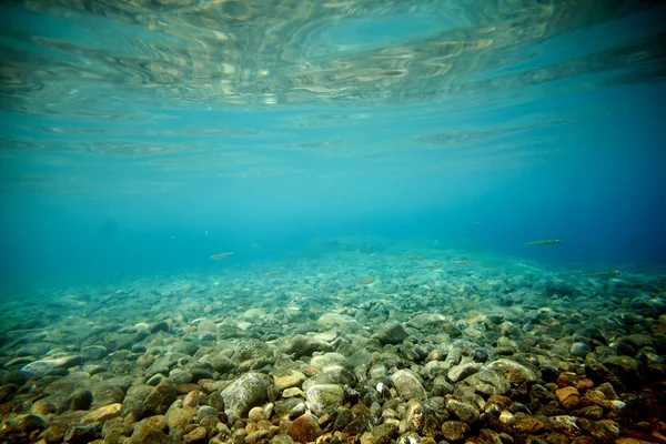 Beach underwater — Stock Photo, Image