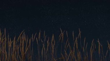 Gökyüzünde bir yıldızla gece Noel panoraması. Yüksek kalite 4k görüntü