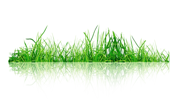 Doğayı ve büyümeyi sembolize eden yansımalı taze otlar.