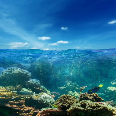 suyun altında bir arka plan