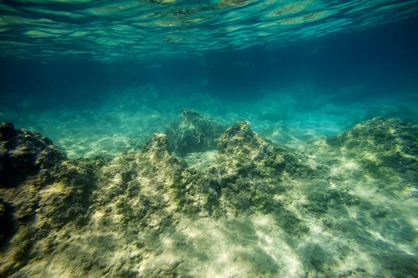 A background underwater — Stock Photo, Image