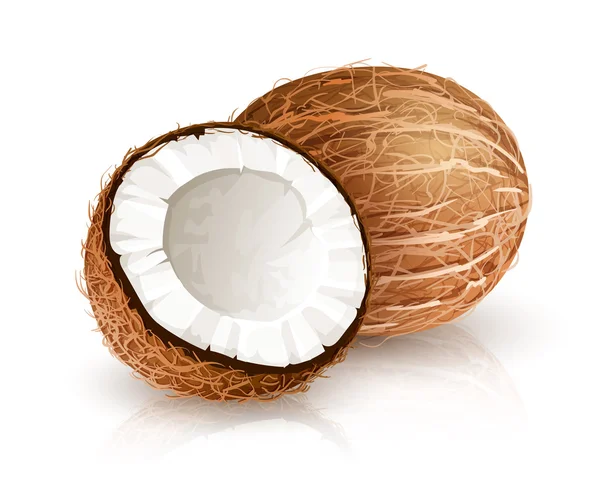 Fruta tropical porca de coco com corte. Eps10 vector ilustração isolado branco fundo —  Vetores de Stock