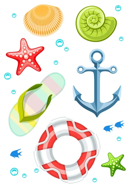 Seaside objects seashells slippers and life buoy — Stock Vector