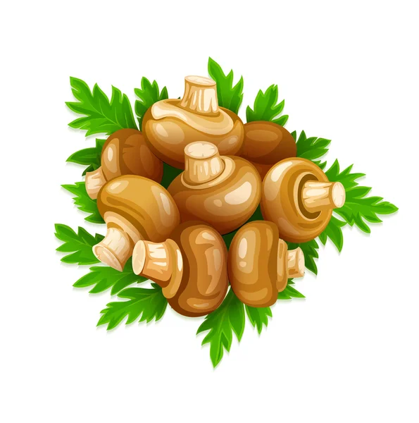 Champiñones de setas con perejil verde conjunto de verduras Comida — Vector de stock