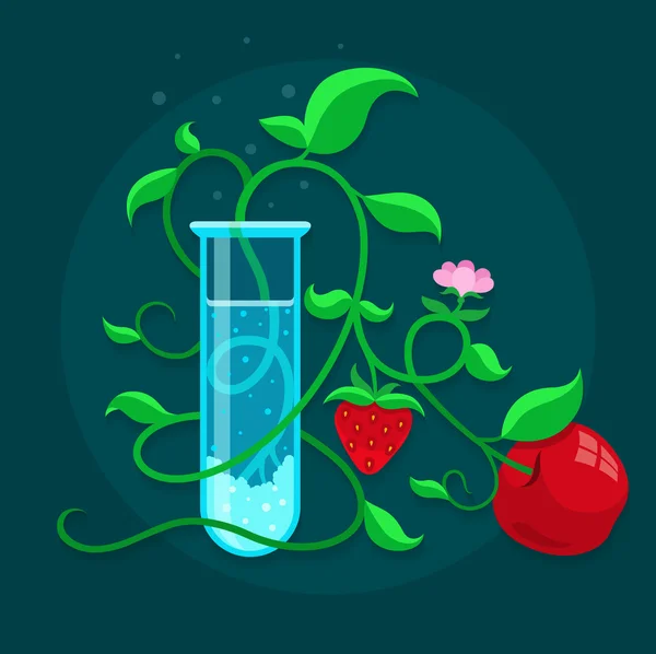 Aliments qui poussent dans le tube à essai transgéniques OGM — Image vectorielle