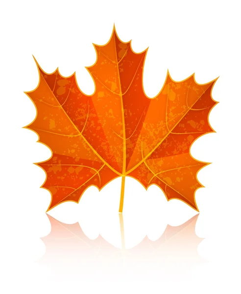 Hoja de arce seca de otoño — Vector de stock