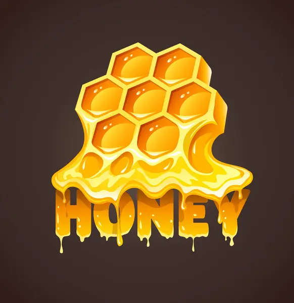 Honey in honeycombs — Stock Vector