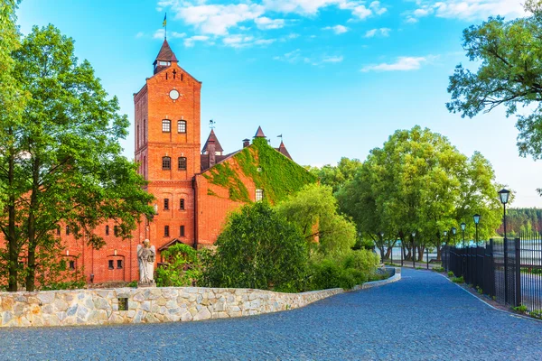 Castelul Radomysl, Ucraina — Fotografie, imagine de stoc