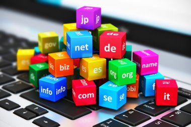 İnternet ve etki alanı adları kavramını
