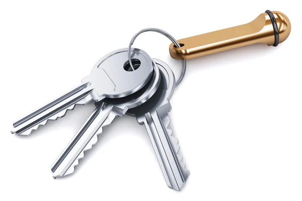 Bunch of metal keys with keychain isolated on white background — Stock Photo, Image