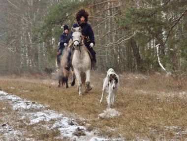 Borisov, Belarus - 25 Kasım 2018: Borzoi köpekleriyle avlanmanın tarihi yeniden inşası