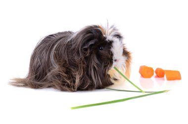 eskiden şiling şimdi domuz yeme