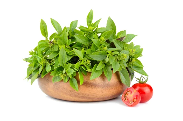 Basil with cherry tomatoes — Stock Photo, Image