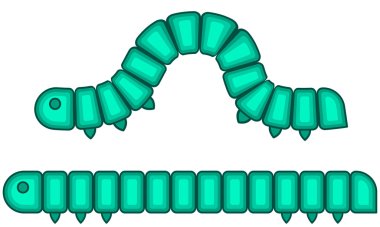 Caterpillar larva böcek