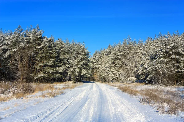 Winter road landscape — Stock Photo, Image