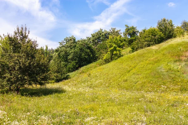 Sommaren natur landskap — Stockfoto