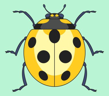 Sarı böceği böcek