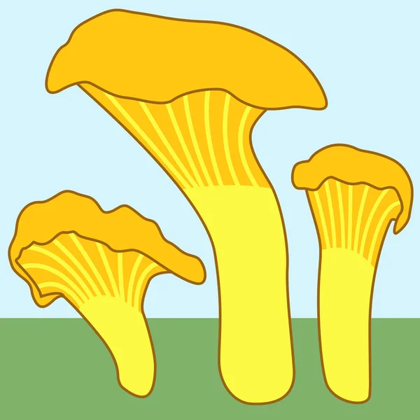 Ícone de cogumelos Chanterelle — Vetor de Stock