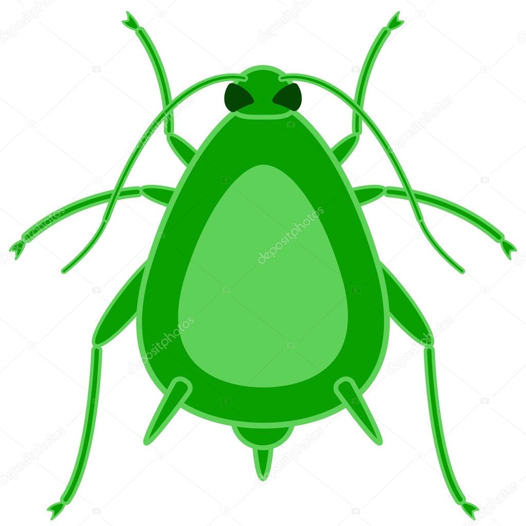 Greenfly insect icon