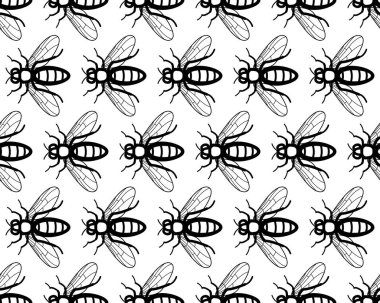 Arı böceklerinin hatları pürüzsüz.