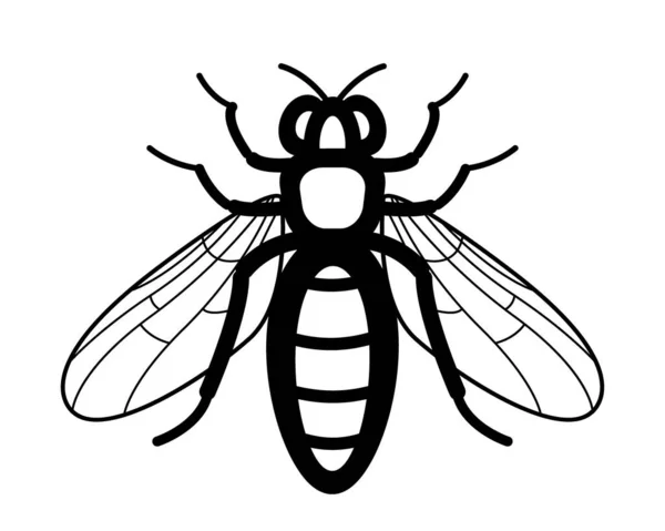 Illustration Contour Travailleur Insecte Abeille — Image vectorielle