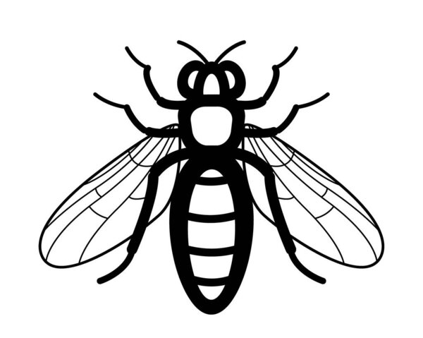 Illustration of the contour worker bee insect