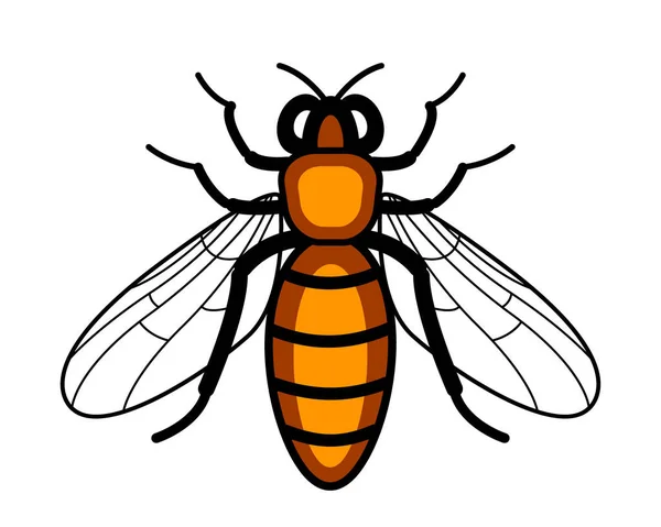 Illustratie Van Het Werkbijeninsect — Stockvector